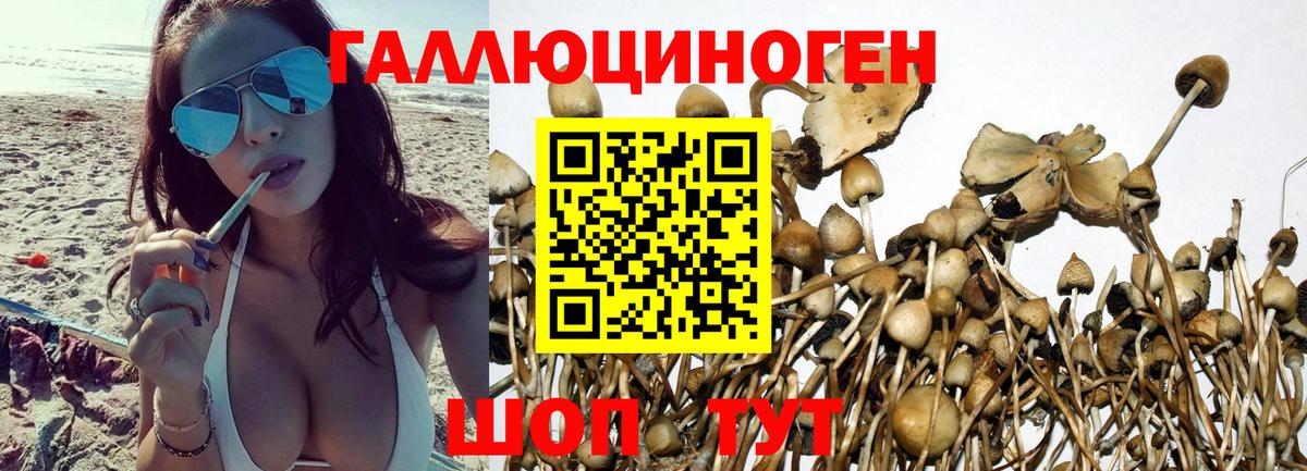 Галлюциногенные грибы ЛСД Юрга