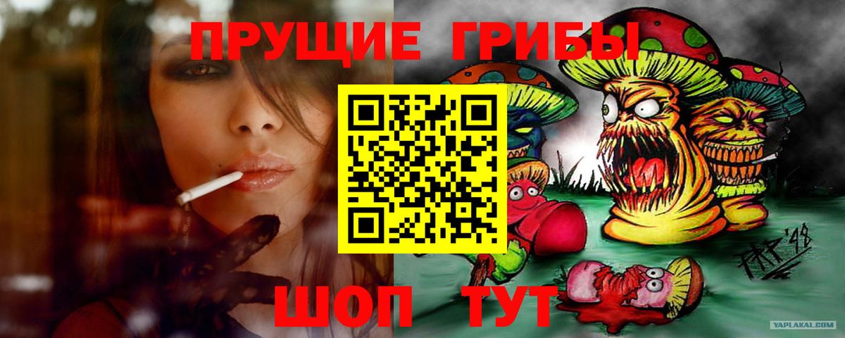 Юрга  Псилоцибиновые грибы MAGIC MUSHROOMS  Псилоцибиновые грибы Magic Shrooms  Вход с VPN 